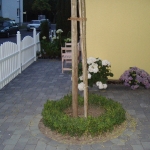 zaun-1-4